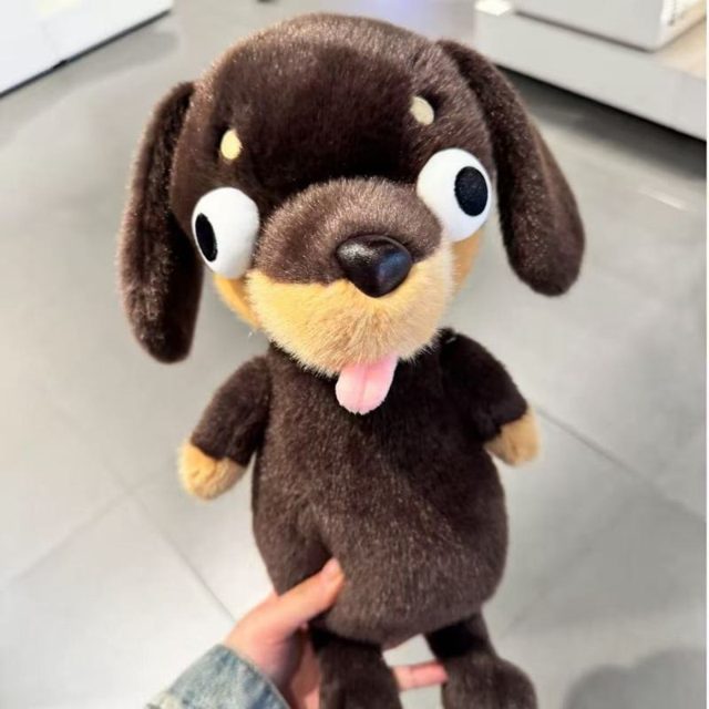 Derpy Googly-Eye Wiener Dog Plush