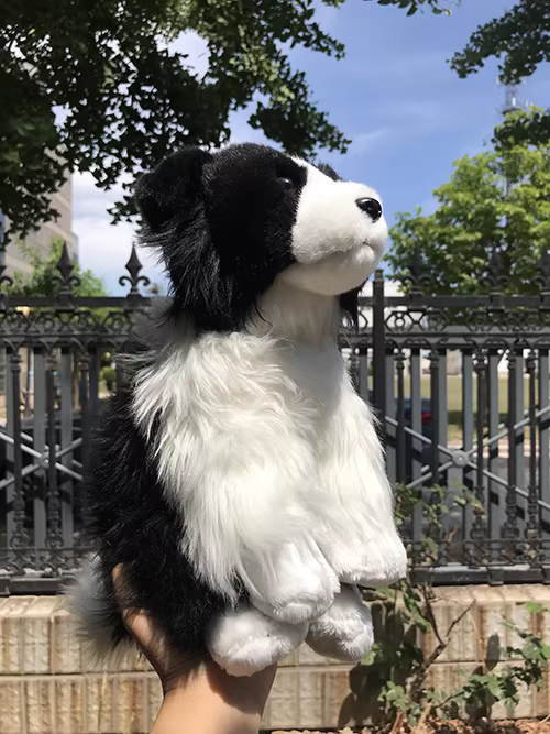 Realistic Border Collie Plush — photo 2