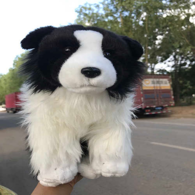 Realistic Border Collie Plush — photo 3