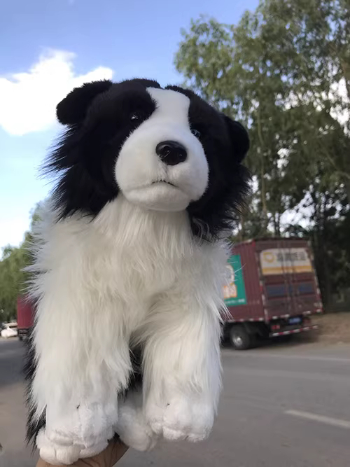 Realistic Border Collie Plush — photo 4