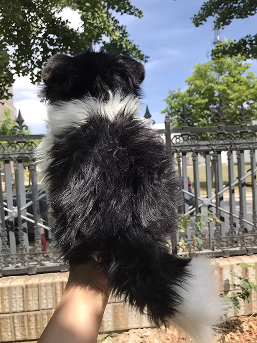 Realistic Border Collie Plush — photo 5