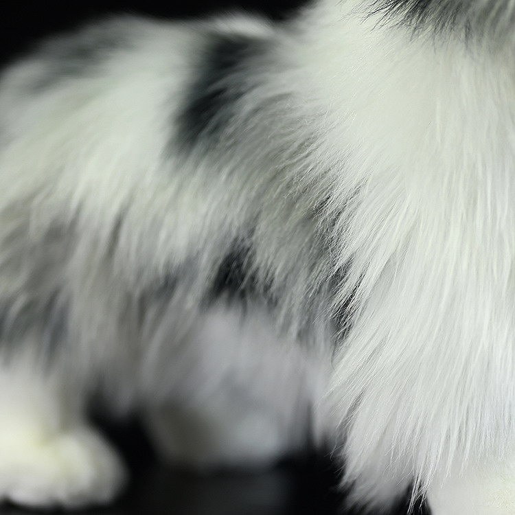 Fluffy Merle Collie Plush โ photo 2