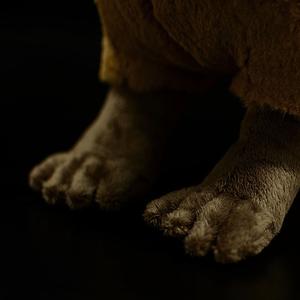 Chill Capybara Plush โ photo 4