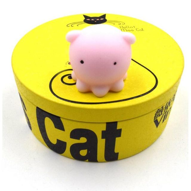 Piggy Mochi in a Gift Box
