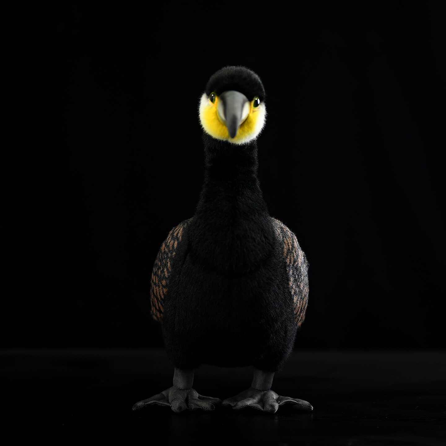 Realistic Cormorant Seabird Plush โ photo 5