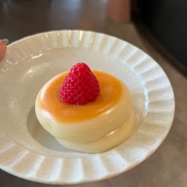 Raspberry Custard Pudding Squishy