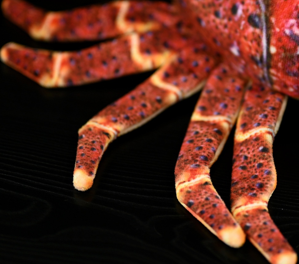 Mr. Pinchy Realistic Lobster Plush — photo 3