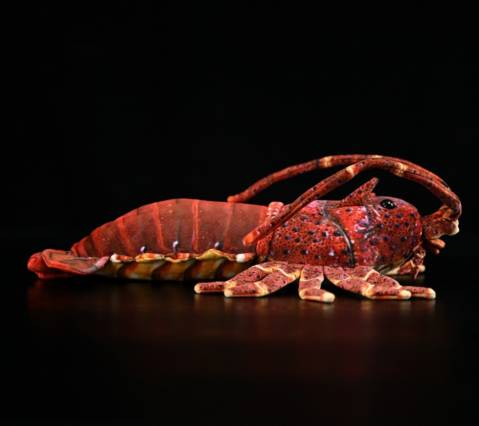 Mr. Pinchy Realistic Lobster Plush — photo 4