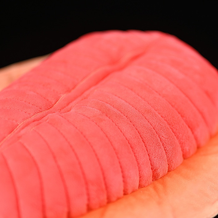 Squishy Trilobite Sea Bug Plush โ photo 3