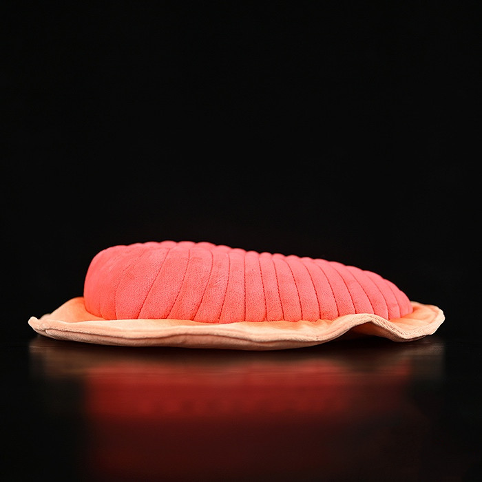 Squishy Trilobite Sea Bug Plush โ photo 4