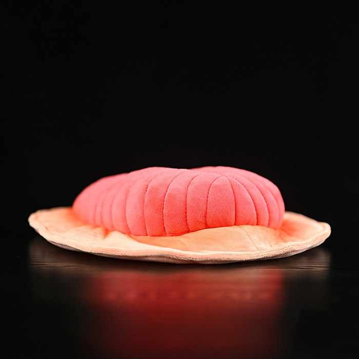 Squishy Trilobite Sea Bug Plush โ photo 5