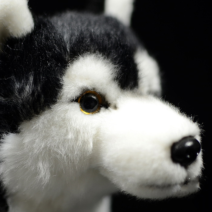 Dog Mandarin Duck Eye Husky Plush