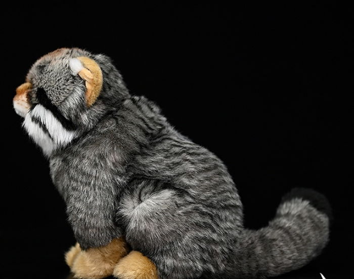 Grumpy Pallas's Cat Plushie — photo 2