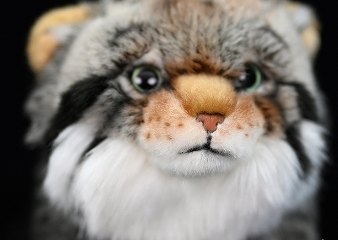 Grumpy Pallas's Cat Plushie — photo 4
