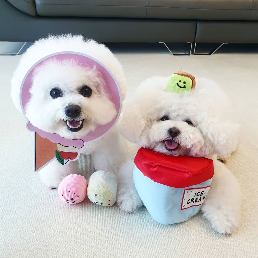Korean Ice Cream Bucket Glowing Toy โ photo 3