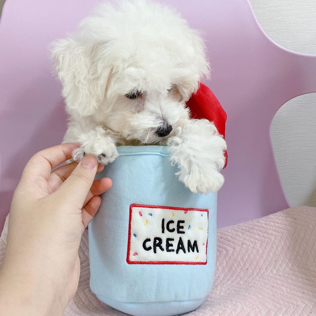 Korean Ice Cream Bucket Glowing Toy โ photo 4