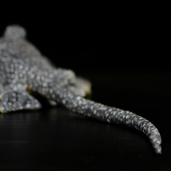 Spotty Stingray Realistic Plush — photo 3