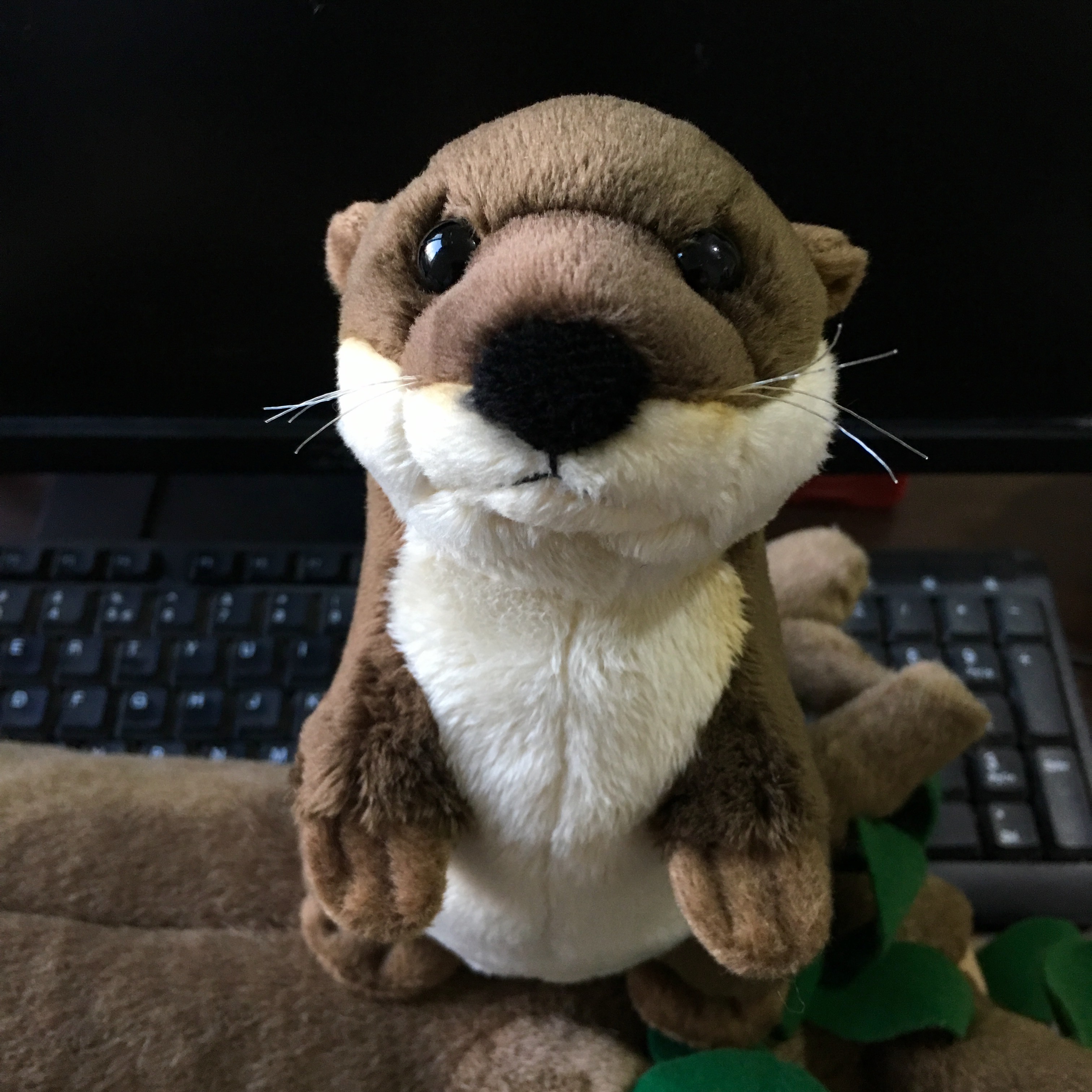 River Otter Buddy Plush