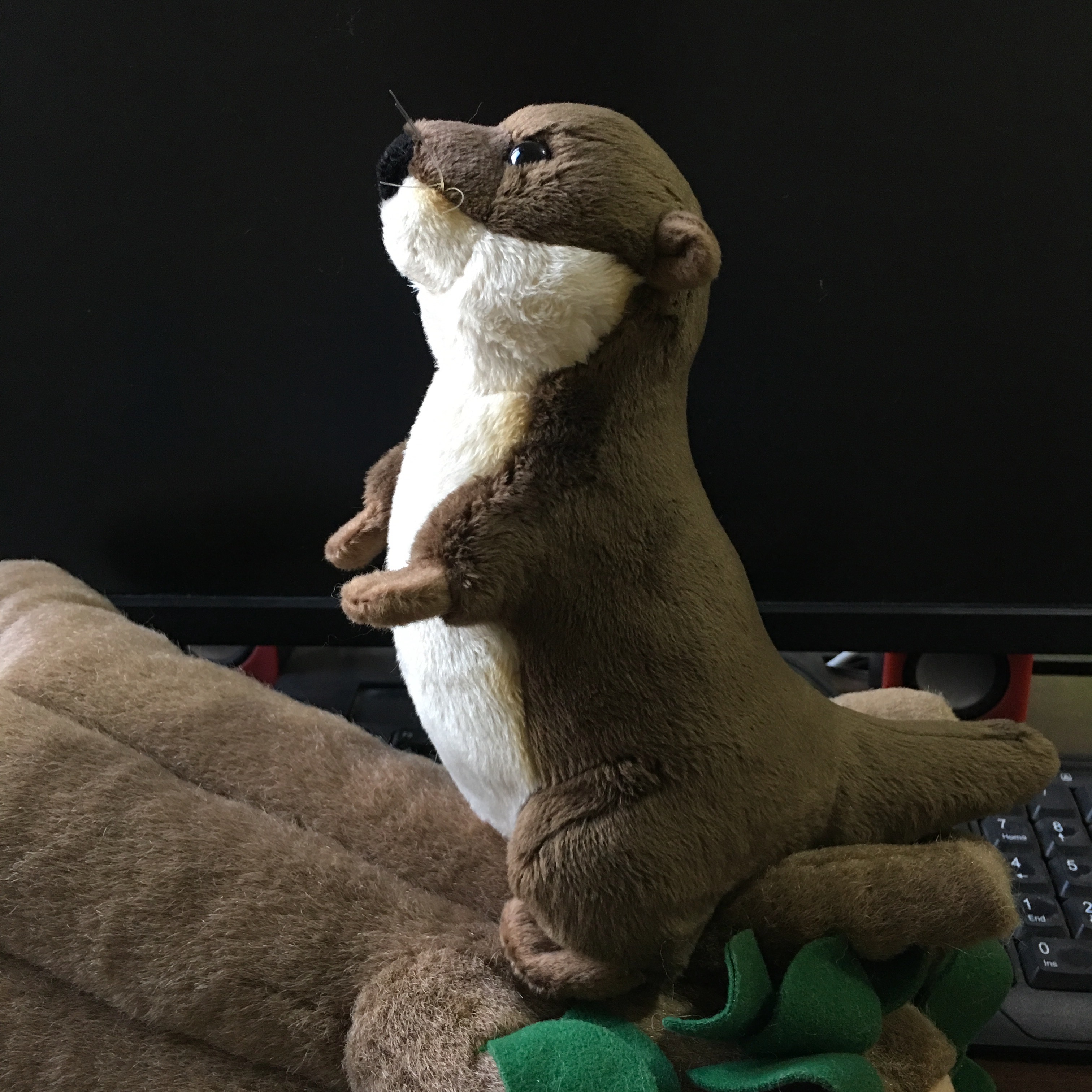 River Otter Buddy Plush — photo 2