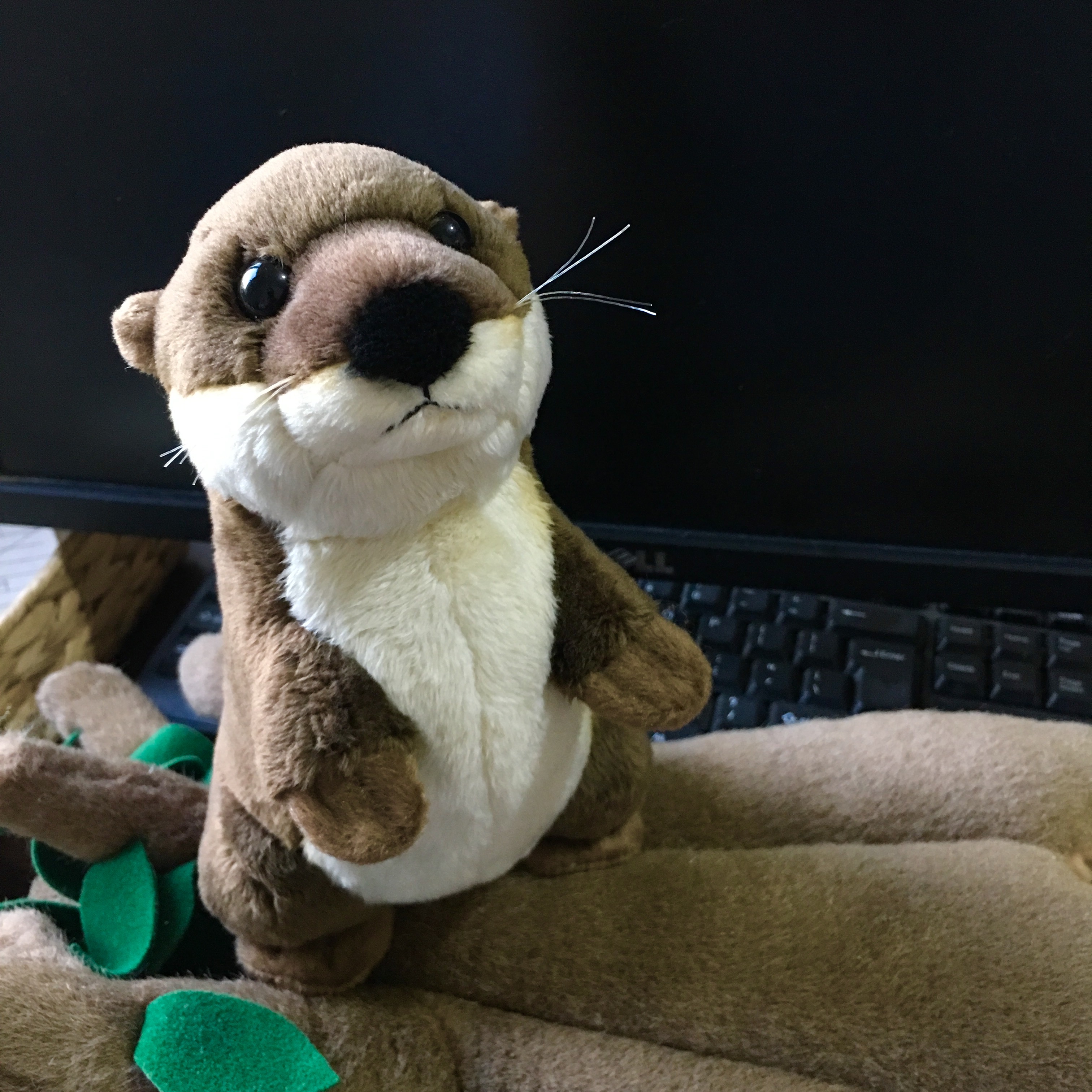 River Otter Buddy Plush — photo 5