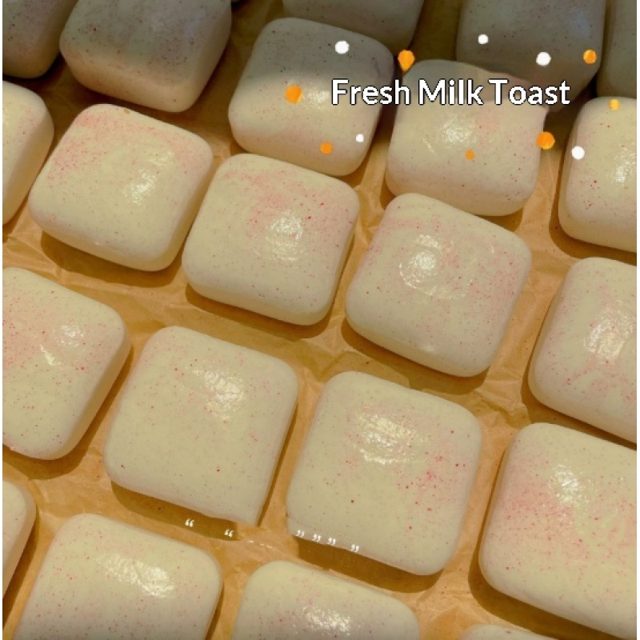 Fresh Milk Mini Toast Squishy