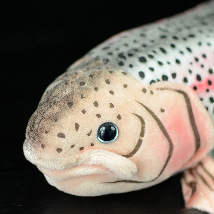 Realistic Rainbow Trout Fish Plush โ photo 2
