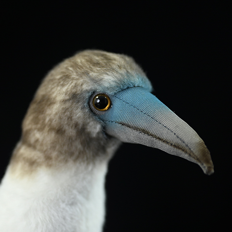 Blue-Footed Booby Bird Plushie