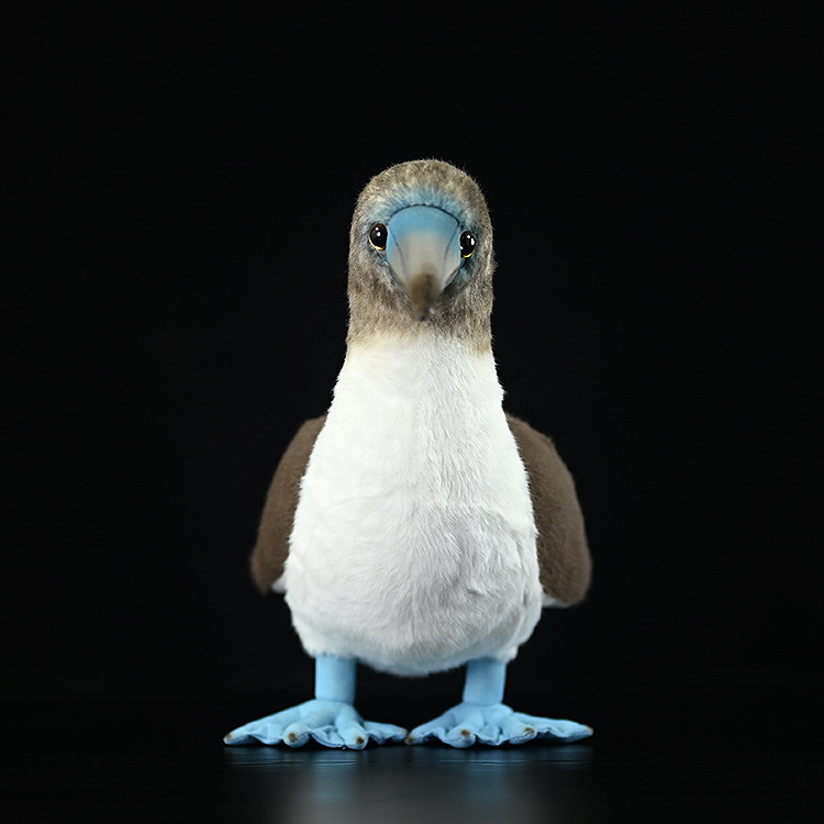 Blue-Footed Booby Bird Plushie — photo 5