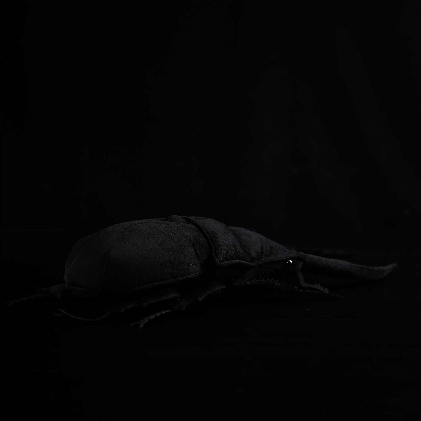 Black Stag Beetle Plush