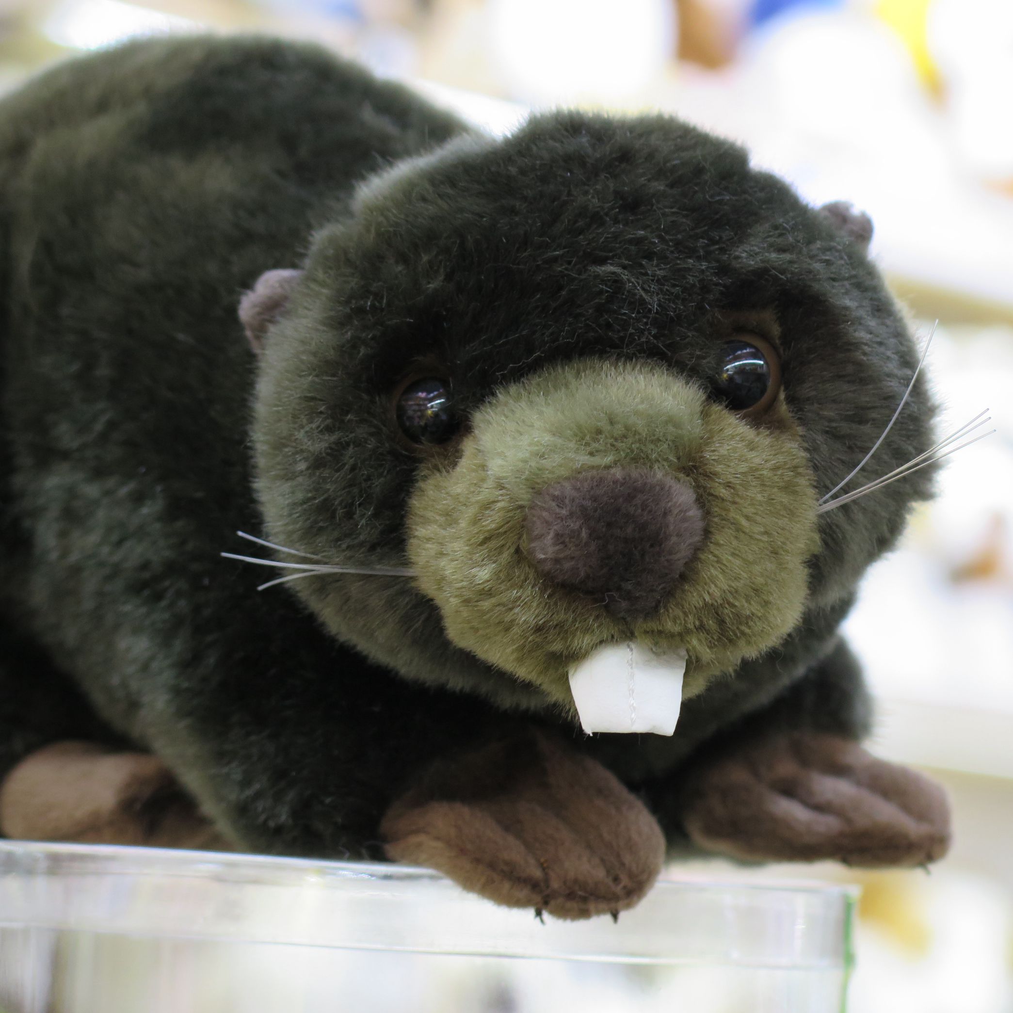 Lifelike Beaver Plush