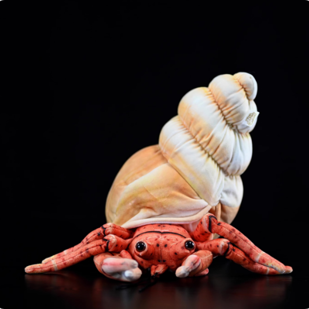 Realistic Hermit Crab In Spiral Shell Plush — photo 3