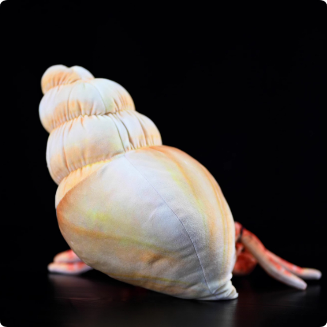 Realistic Hermit Crab In Spiral Shell Plush — photo 4