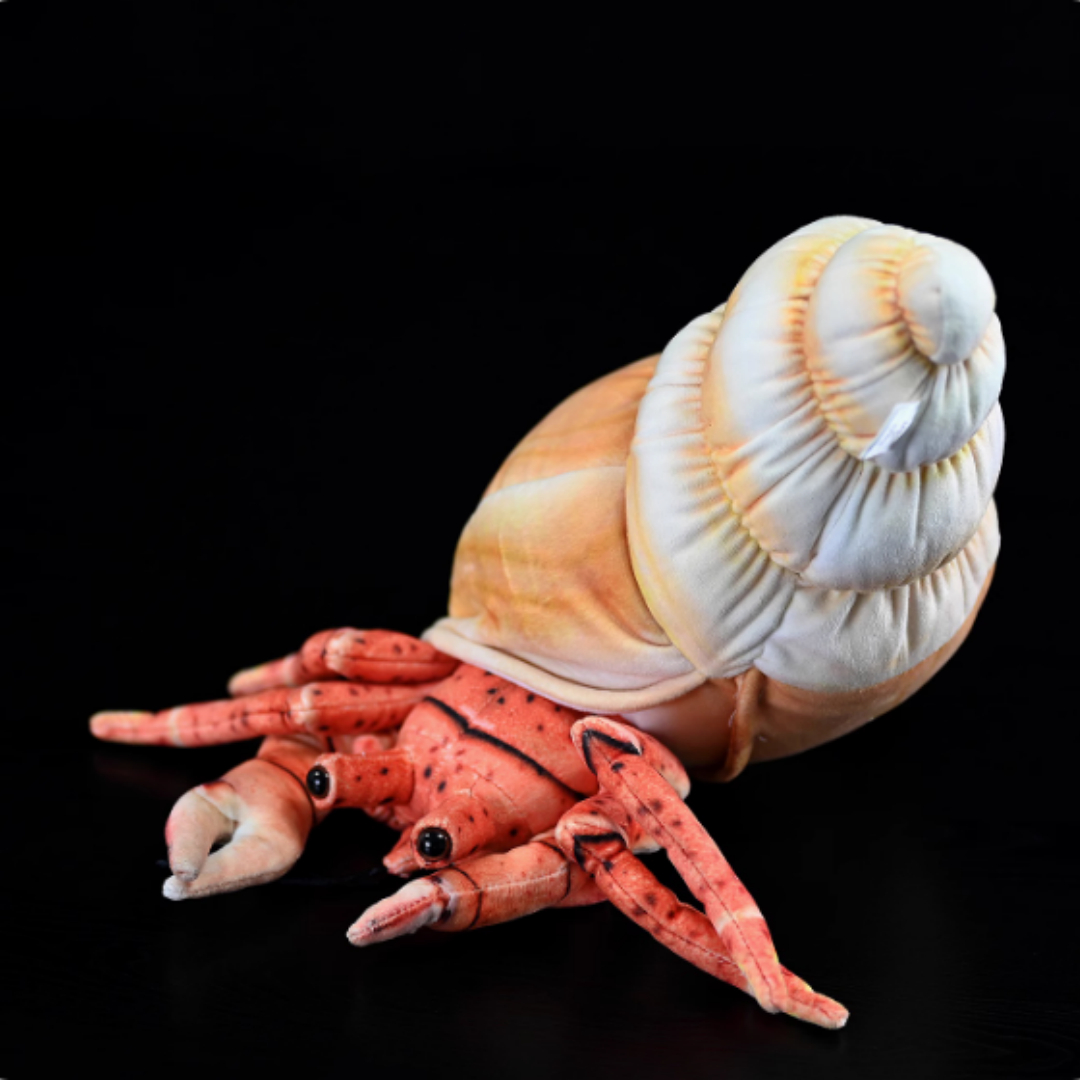 Realistic Hermit Crab In Spiral Shell Plush — photo 5