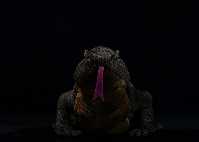 Realistic Komodo Dragon Plush โ photo 2