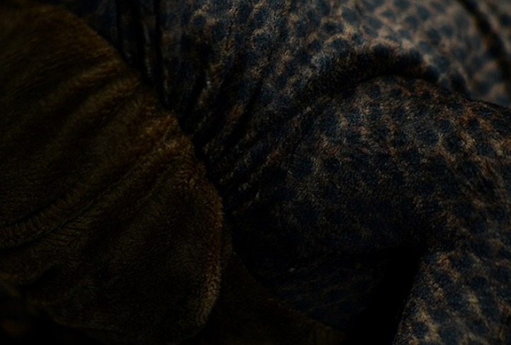 Realistic Komodo Dragon Plush โ photo 4