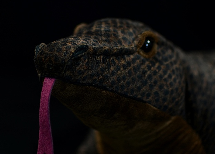 Realistic Komodo Dragon Plush โ photo 5
