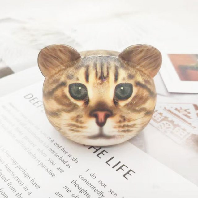 Slow-Rise Tabby Cat Head Squishy