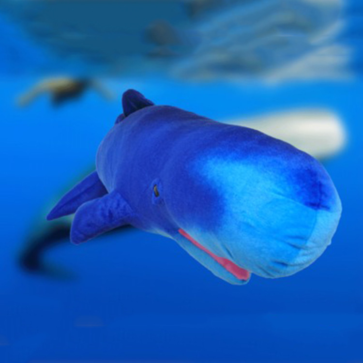 Deep Blue Sperm Whale Plush — photo 5