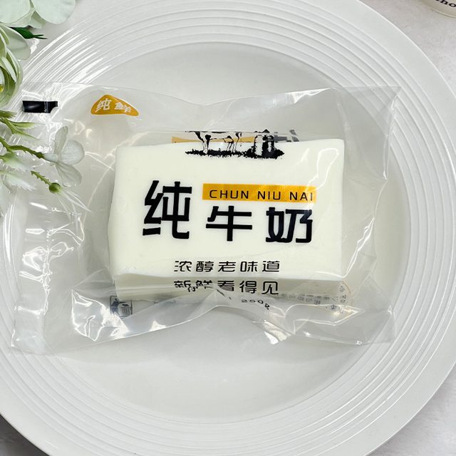 Squishy Milk Carton Brick