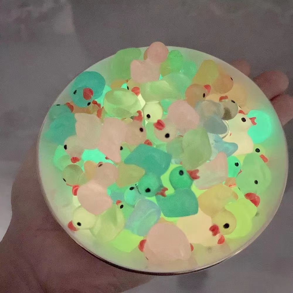 Stereo Transparent Resin Diy Duck Toy — photo 2