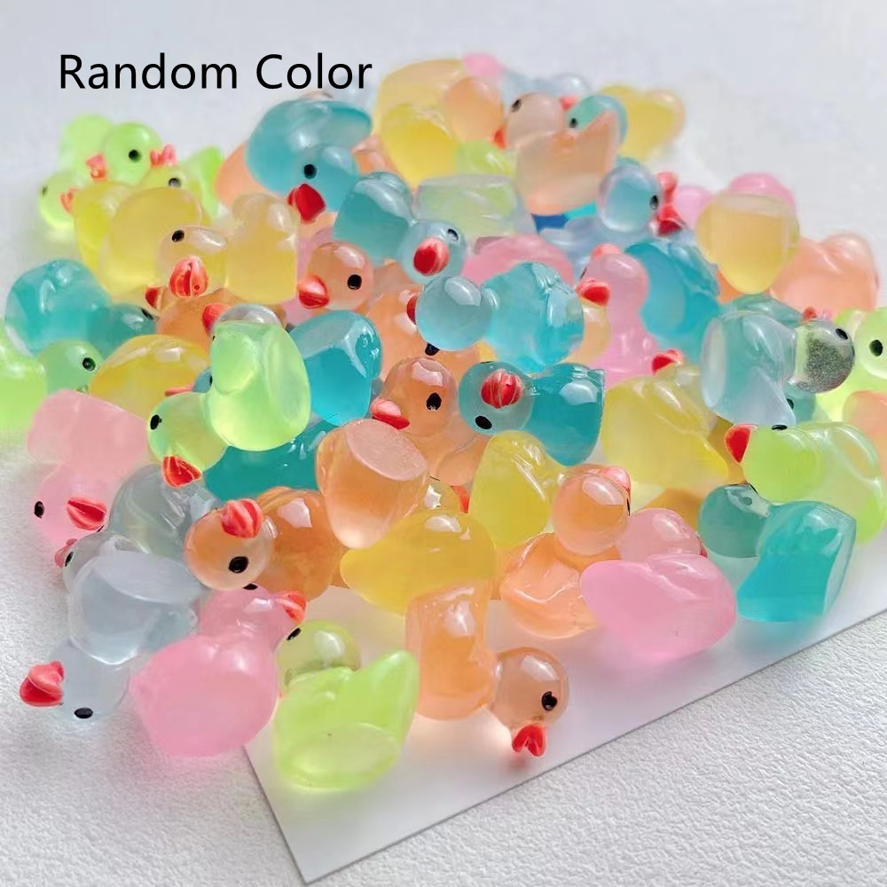 Stereo Transparent Resin Diy Duck Toy — photo 3