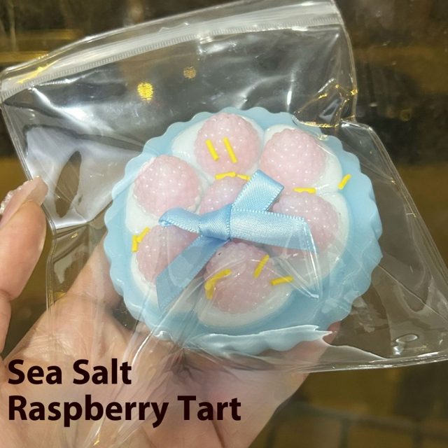 Sea Salt Raspberry Tart Squishy Charm