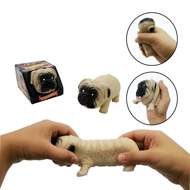 Stretchy Wrinkly Pug