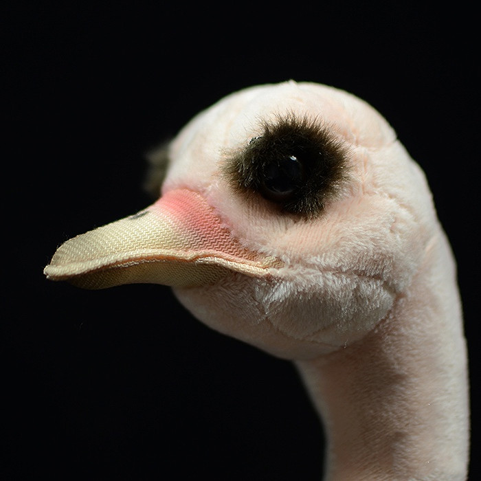 Realistic African Ostrich Plush — photo 4