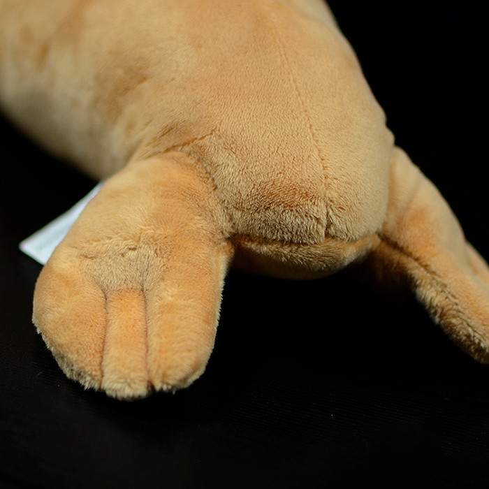 Realistic Walrus Plush With Whiskers โ photo 2