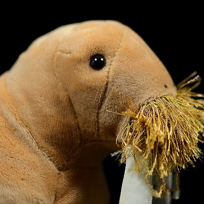 Realistic Walrus Plush With Whiskers โ photo 4